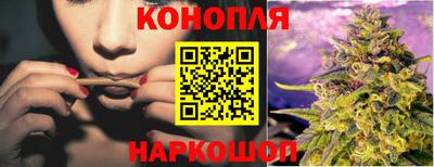 стафф Новозыбков