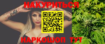 стафф Новозыбков