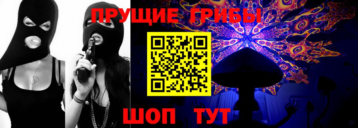 Галлюциногенные грибы GOLDEN TEACHER  Вход с VPN  Галлюциногенные грибы GOLDEN TEACHER  Сафоново 